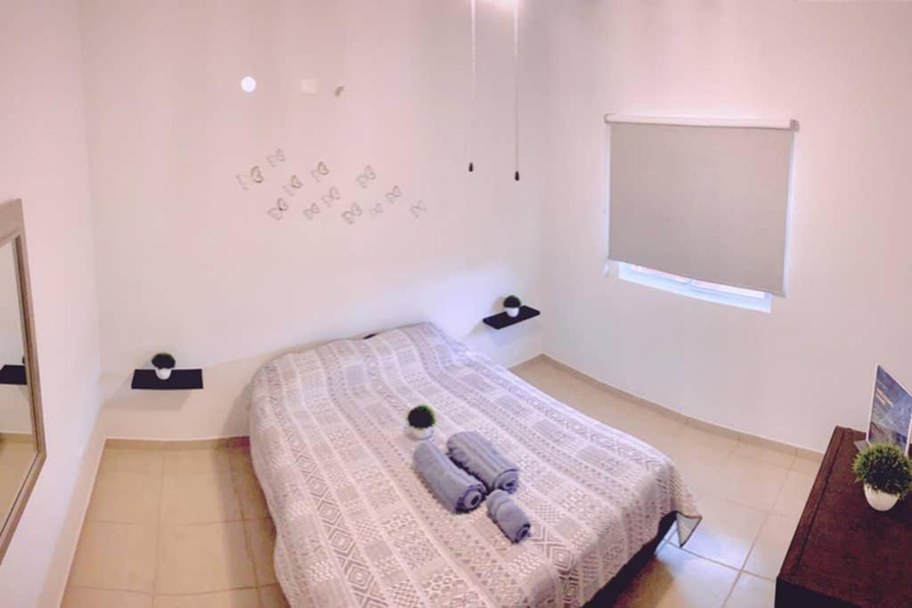 Luna Pacific Los Cabos - Condo Near Beach Cabo San Lucas Buitenkant foto